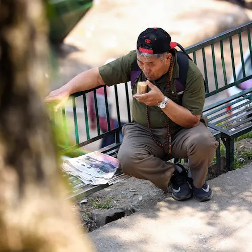 Trịnh Văn An